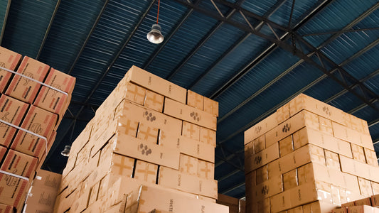 The Role of an EORI Number in Cross-Border Wholesale and Logistics